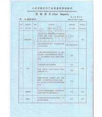 公司资质_等电位 检验报告 (2)