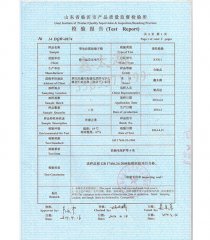 公司资质_等电位 检验报告 (1)